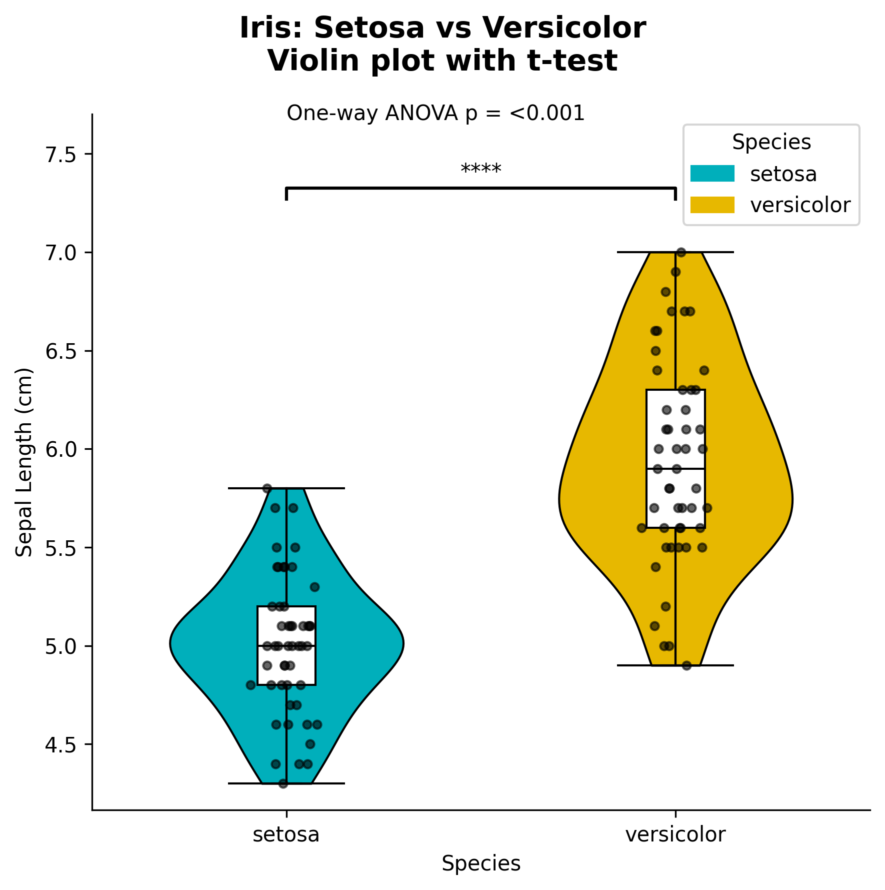 Violin Plot Two Groups Example