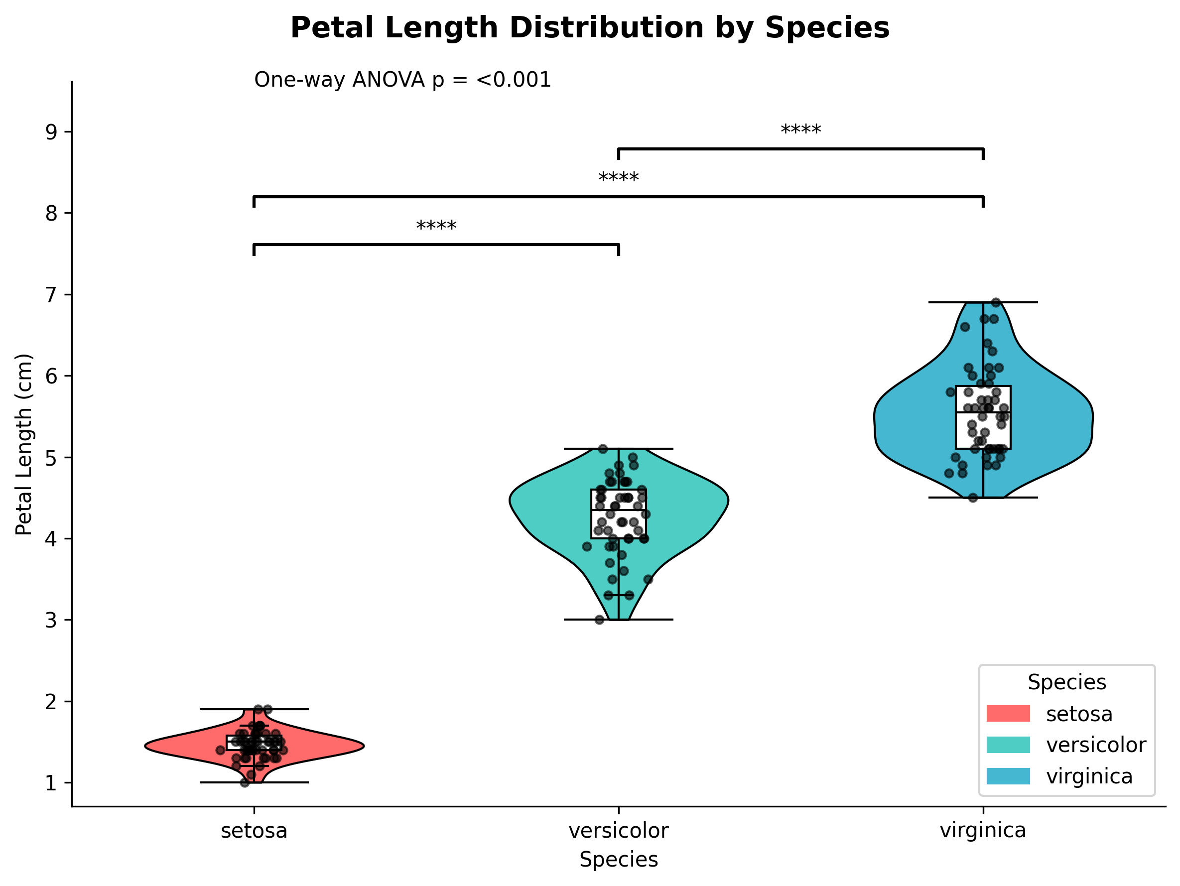 Violin Plot Three Groups Example